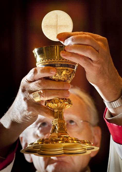 Eucharist vs communion. Things To Know About Eucharist vs communion. 